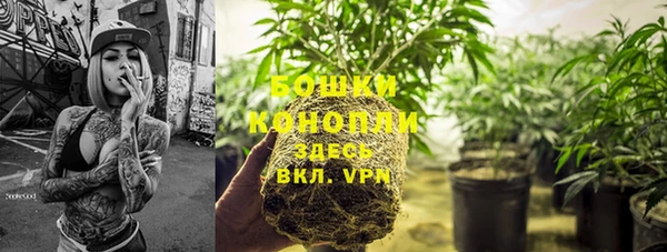ALPHA PVP Киренск