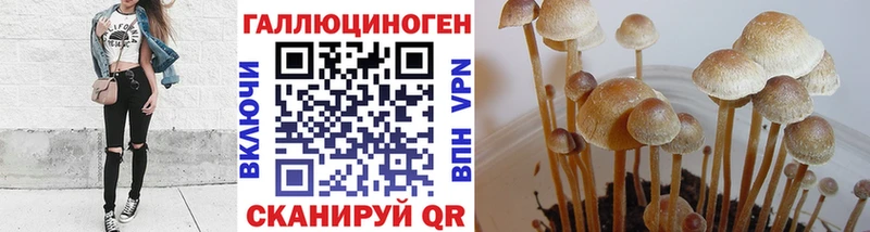 Псилоцибиновые грибы Psilocybine cubensis  Купить закладки  Судак 
